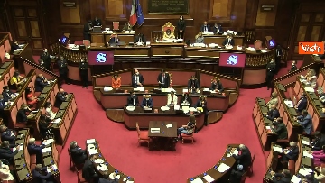 10 - Conte riferisce in Aula Senato sul Consiglio Ue, immagini