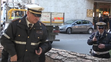 2 - Maltempo, paura in centro a Roma crolla un albero in Viale Mazzini, 2 feriti gravi