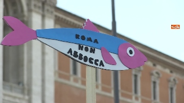 13 - Le sardine riempiono piazza San Giovanni a Roma