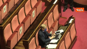 3 - Question time al Senato con il ministro Patuanelli. Le foto della seduta