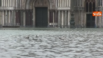 8 - San Marco e il centro di Venezia sommersi dall'acqua, un'atmosfera surreale